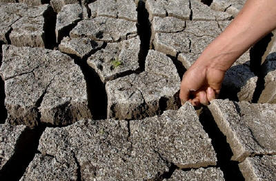 Российский АПК понес урон от засухи 